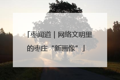 枣闻道｜网络文明里的枣庄“新画像”